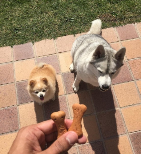 ���������� ������ � ��������
